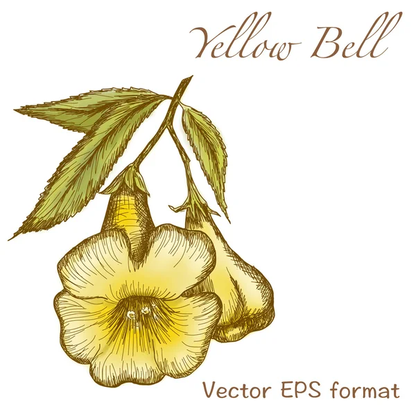 Tarjeta de felicitación de campana amarilla con flores — Vector de stock