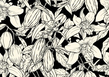 Çikolata ve vanilyalı elementler kusursuz desenli. Tekstil, duvar kâğıdı, mutfak ve mutfak projeleri için tasarlanmış vanilya orkideleri ve kakao kabuklarının el yapımı botanik çizimi.