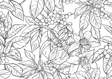 Kahve ve vanilya botanik deseni. Tekstil, duvar kağıdı, mutfak, aşçılık, içecek ve fırın tasarımı için kahve bitkisi, böğürtlen, fasulye ve vanilya orkideleri ile dekoratif illüstrasyon.