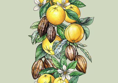 Portakallar, kakao kapsülleri ve kusursuz botanik desenler. El yapımı meyveler, botanik dalları, yapraklar, klasik tekstil için çiçekler, duvar kağıdı, mutfak ve gıda tasarımı..