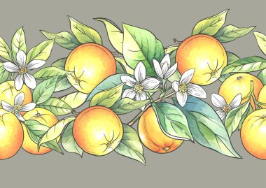 Portakallar ve turunçgiller kusursuz botanik desenler oluşturuyor. Klasik tekstil, duvar kağıdı, mutfak ve gıda tasarımı için el yapımı meyve, dal, yaprak ve doğal çiçekler. Klasik motif.