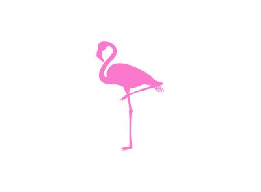 Pembe Flamingo Logo Şablonu. Kuş tasarımı. Hayvan Dünyası İllüstrasyonu