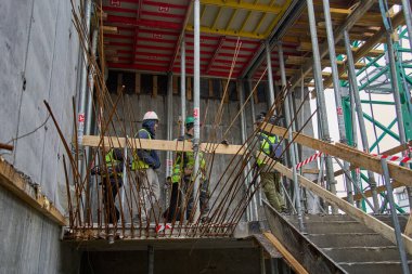 Bükreş, Romanya. 30 Ocak 2026: Romanya Sağlık Bakanı, 