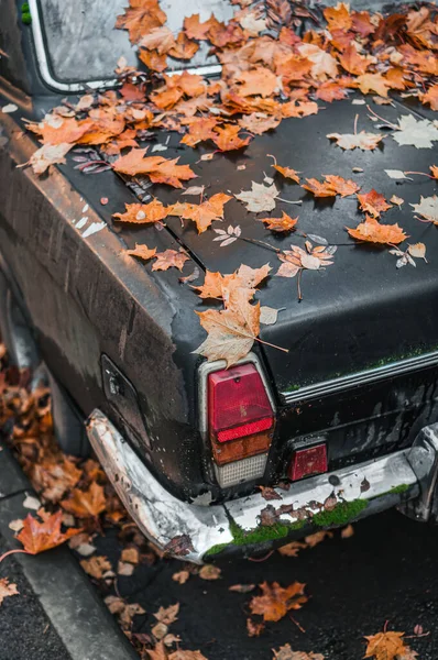 Orange autumn leaves lie on an abandoned retro (old, vintage) car. Rear lights, trunk lid.