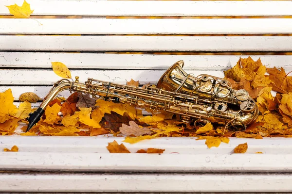 Autumn music: saxophone and golden leaves on a white park bench
