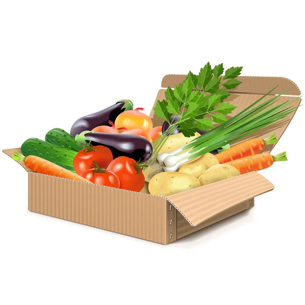 Vector Carton Box with Vegetables — Stock Vector