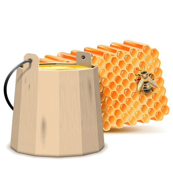 Vector Barrel with Honeycombs