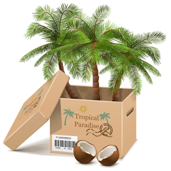 Vektor Palm fa doboz — Stock Vector