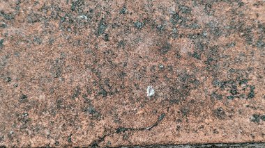 Sert, kırmızımsı kahverengi bir yüzeye aşırı yakın çekim, muhtemelen eskimiş bir tuğla ya da fayans, koyu benekler ve birkaç küçük beyaz noktayla kaplı.