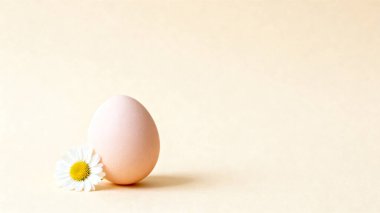 Yumuşak pembe bir yumurta, sıcak bej bir arka planda taze bir papatya çiçeğinin yanında oturur..