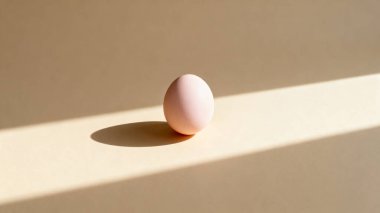 Tek bir soluk pembe yumurta, keskin, sanatsal gölgesi olan bej bir yüzeyde dikey duruyor..