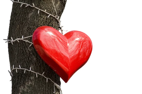 Grande coração vermelho pendurado em uma árvore — Fotografia de Stock