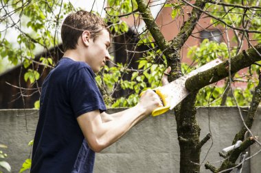 Ölü bir ağaç Teen testere gördüm 