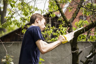 Ölü bir ağaç Teen testere gördüm 