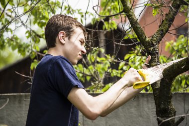 Ölü bir ağaç Teen testere gördüm 