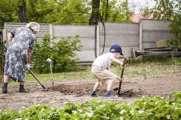 Бабушка с внуком копают сад — стоковое фото