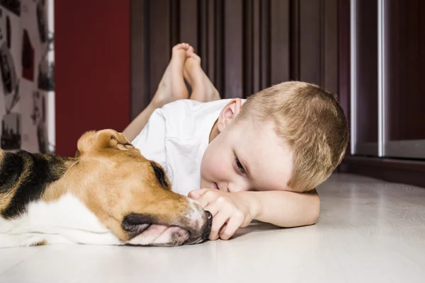 Menino brinca com um cão beagle — Fotografia de Stock