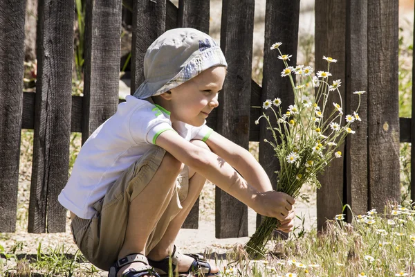 Boy holding a bouquet of daisies — Stock Photo, Image