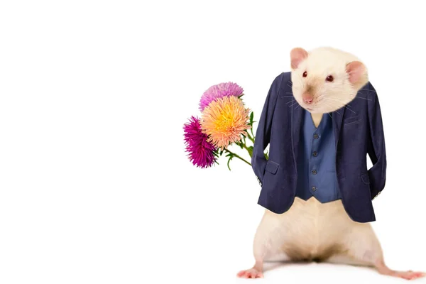 背中の後ろに花の花束を持つ面白いかわいいラット男 ロマンチックな関係 — ストック写真