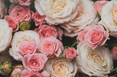 Klasik tarzda güzel beyaz ve pembe güllerin arka planı 