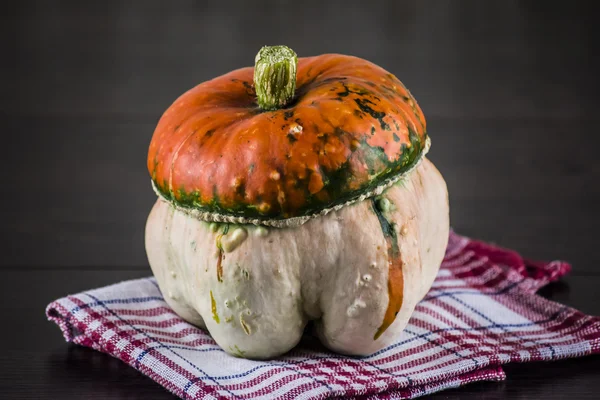 Pumpkin — Stock Photo, Image