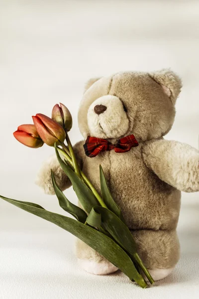 Soft toy bear with flower Stock Picture