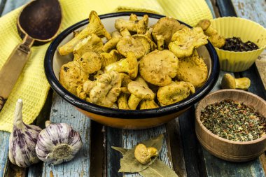 ham mantar Cantharellus cibarius tabak