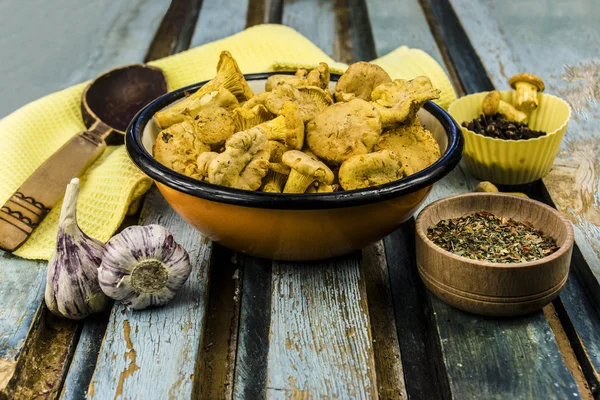 Teller mit rohen Champignons Pfifferling — Stockfoto