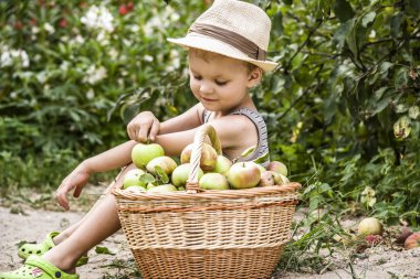 çocuk bahçesinde bulunan bir sepet elma