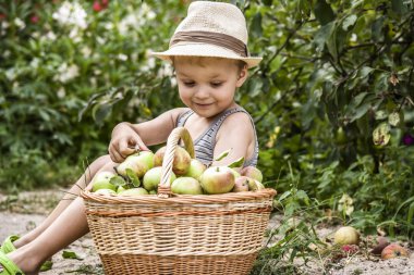 çocuk bahçesinde bulunan bir sepet elma