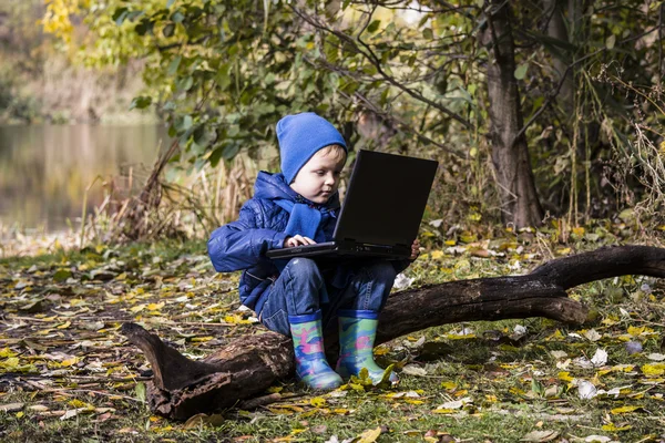 Boy playing laptop — Stock Photo, Image