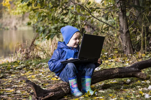 Boy playing laptop — Stock Photo, Image