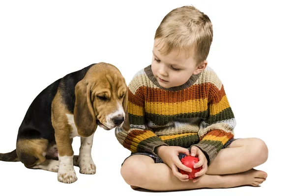 Menino para treinar um cão — Fotografia de Stock