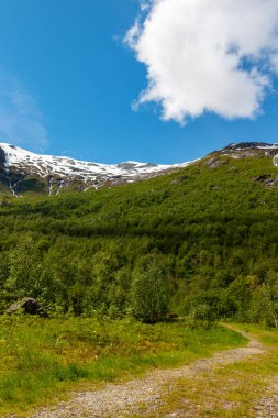 Yazın büyük Jostedalsbreen buzulunun bir parçası olan güzel Boyabreen buzulu, Norveç, Avrupa