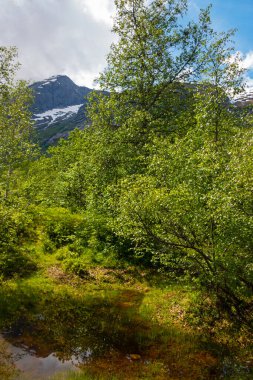 Yazın büyük Jostedalsbreen buzulunun bir parçası olan güzel Boyabreen buzulu, Norveç, Avrupa