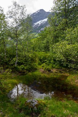 Yazın büyük Jostedalsbreen buzulunun bir parçası olan güzel Boyabreen buzulu, Norveç, Avrupa