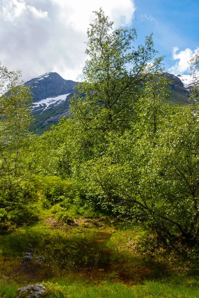 Yazın Büyük Jostedalsbreen Buzulunun Bir Parçası Olan Güzel Boyabreen Buzulu — Stok fotoğraf