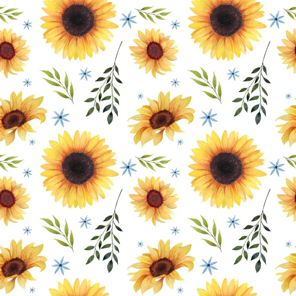 花色ひまわりのパターン 夏のひまわりデジタル紙パック シームレスなパターン — ストック写真