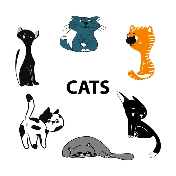 Um conjunto de gatos de raças e cores diferentes. Gato oriental, birmanês, raça siberiana, abissínio. Ilustração vetorial isolada sobre fundo branco. Para adesivos, desenhos de utensílios de mesa, camisetas, bebê —  Vetores de Stock