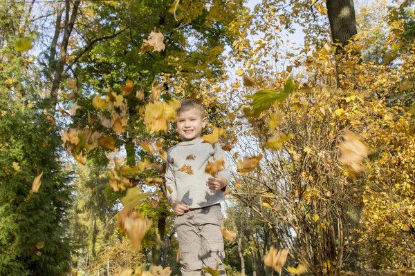 Мальчик играет с осенними листьями — стоковое фото