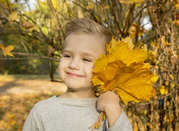 Junge spielt mit Herbstblättern — Stockfoto