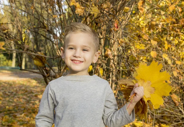Jongen spelen met herfst bladeren — Stockfoto