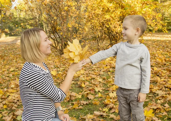 Мальчик дает маме осенние листья — стоковое фото