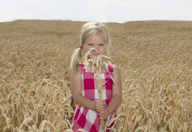 Kız bir buğday alanında duruyor