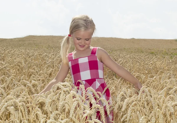 Chica está de pie en un campo de trigo — Foto de Stock