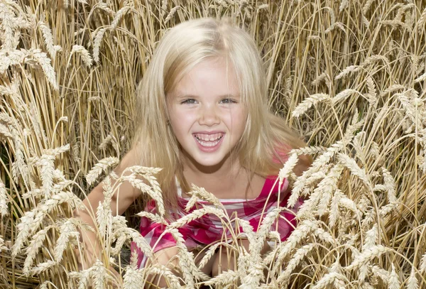 Fille est debout dans un champ de blé — Photo