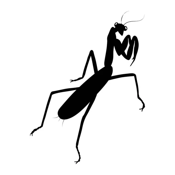 Mantis Silhouet Geïsoleerd Witte Achtergrond Vector — Stockvector