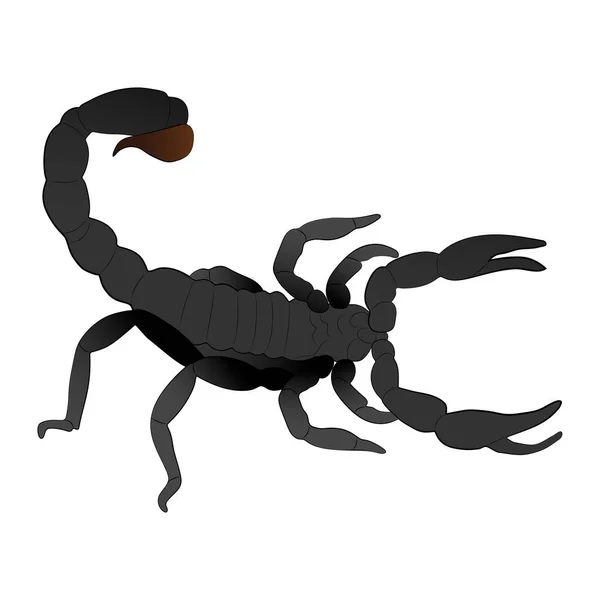 Illustration Couleur Scorpion Isolée Sur Fond Blanc Vecteur — Image vectorielle