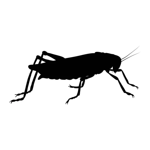 Locust Silhouet Geïsoleerd Witte Achtergrond Vector — Stockvector