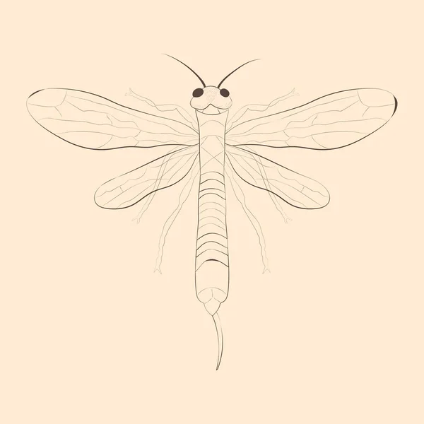 Illustration Siricidae Croquis Isolé Dessiné Main Vecteur — Image vectorielle